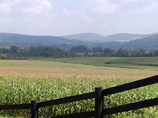 Grasslands on Highway 28